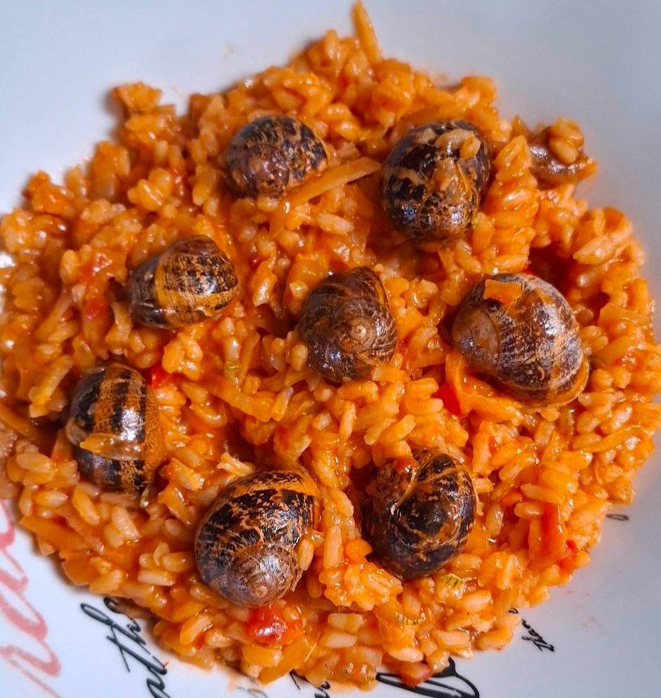 xoxlioiRyzi Χοχλιοί μαγειρεμένοι με στάρι και λαχανικά σερβίρονται σε ένα πιάτο, αναδεικνύοντας τα χρώματα της κρητικής κουζίνας.