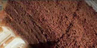 Ένα ταψί κέικ σοκολάτας χωρίς ψήσιμο σε ένα πιάτο, που δείχνει τις στρώσεις από μπισκότα και κρέμα σοκολάτας, πασπαλισμένο με σοκολάτα.