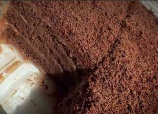 Ένα ταψί κέικ σοκολάτας χωρίς ψήσιμο σε ένα πιάτο, που δείχνει τις στρώσεις από μπισκότα και κρέμα σοκολάτας, πασπαλισμένο με σοκολάτα.