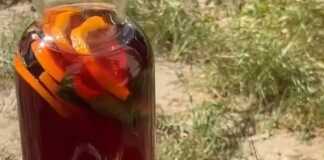 Δυο ποτήρια γεμάταμε κόκκινο δροσιστικό ρόφημα, παγάκια, φέτες πορτοκαλιού και λεμονιού, και κλωναράκια μέντας.