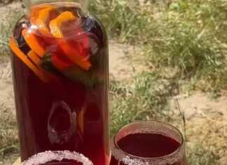 Δυο ποτήρια γεμάταμε κόκκινο δροσιστικό ρόφημα, παγάκια, φέτες πορτοκαλιού και λεμονιού, και κλωναράκια μέντας.