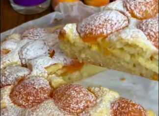 Ενα φρεσκοψημένο, χρυσαφένιο κέικ με τυρί κότατζ και κομμάτια βερίκοκων στην επιφάνεια, πασπαλισμένη με ζάχαρη άχνη.