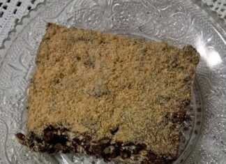 Ένα κομμάτι μωσαϊκό (κορμός σοκολάτας) με εμφανή κομματάκια μπισκότου, πασπαλισμένο με τριμμένο μπισκότο.