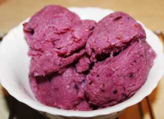 Ένα μπολ με σπιτικό παγωτό κρέμα με φρούτα του δάσους