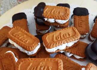 σπιτικά παγωτίνια-σάντουιτς με κρεμώδη γέμιση παγωτού ανάμεσα σε μπισκότα, το ένα με επικάλυψη σοκολάτας, πάνω σε πιατέλα.