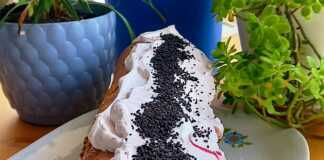 ρολό σοκολατένιο παντεσπάνι γεμιστό με λευκή κρέμα και κόκκινο γλυκό κεράσι, σε ένα πιάτο.