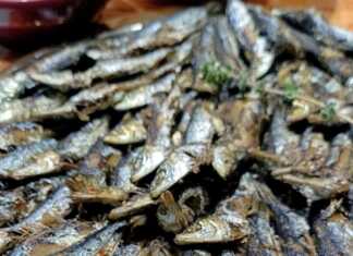 Ψητές σαρδέλες τοποθετημένες σε δίσκο, έτοιμες για σερβίρισμα.