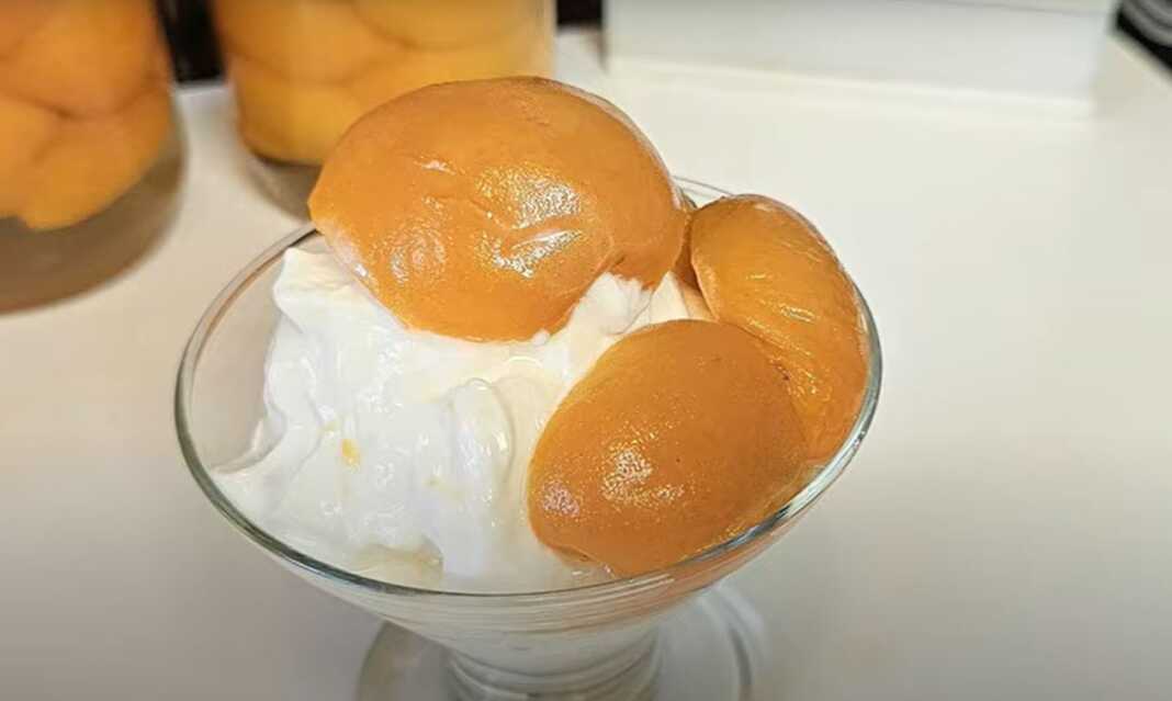 Ενα ποτήρι με γιαούρτι και σπιτική κομπόστα βερίκοκο