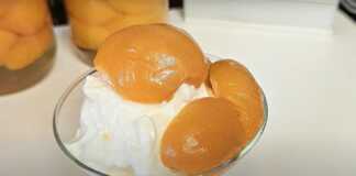 Ενα ποτήρι με γιαούρτι και σπιτική κομπόστα βερίκοκο