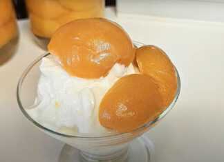 Ενα ποτήρι με γιαούρτι και σπιτική κομπόστα βερίκοκο