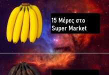 Φρέσκες κίτρινες μπανάνες συγκρίνονται με υπερώριμες μαύρες μπανάνες, απεικονίζοντας το φαινόμενο της γρήγορης ωρίμανσης στο σπίτι σε αντίθεση με την παραμονή στο σούπερ μάρκετ.