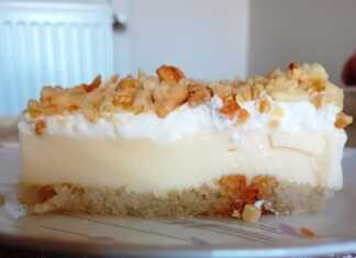 Κοντινό πλάνο σε μία μερίδα Δροσερό Γλυκό Ψυγείου με Φρυγανιές, που αναδεικνύει τις στρώσεις φρυγανιάς, κρέμας και σαντιγί