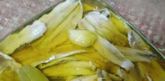 Γυάλινο μπολ με έτοιμο Γαύρο Ξυδάτο, καλυμμένο με λάδι και φέτες σκόρδου.