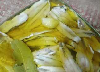 Γυάλινο μπολ με έτοιμο Γαύρο Ξυδάτο, καλυμμένο με λάδι και φέτες σκόρδου.