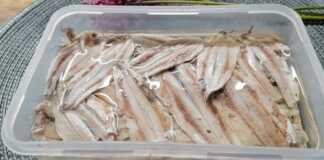 Πιάτο με φιλέτα γαύρου μαριναρισμένα σε αλάτι και ξύδι, πασπαλισμένα με λίγο μαϊντανό, έτοιμα για σερβίρισμα.