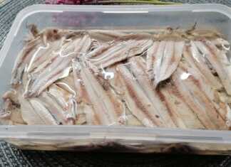 Πιάτο με φιλέτα γαύρου μαριναρισμένα σε αλάτι και ξύδι, πασπαλισμένα με λίγο μαϊντανό, έτοιμα για σερβίρισμα.