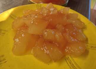 Κοντινό πλάνο σε ένα κουταλάκι με Γλυκό του Κουταλιού Πεπόνι, που αναδεικνύει το παχύρρευστο σιρόπι και τα διάφανα κομμάτια φρούτου.