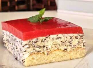 Ένα κομμάτι από δροσερό Γλυκό Ψυγείου με χειροποίητο ζελέ καρπούζι, σερβιρισμένο σε πιάτο