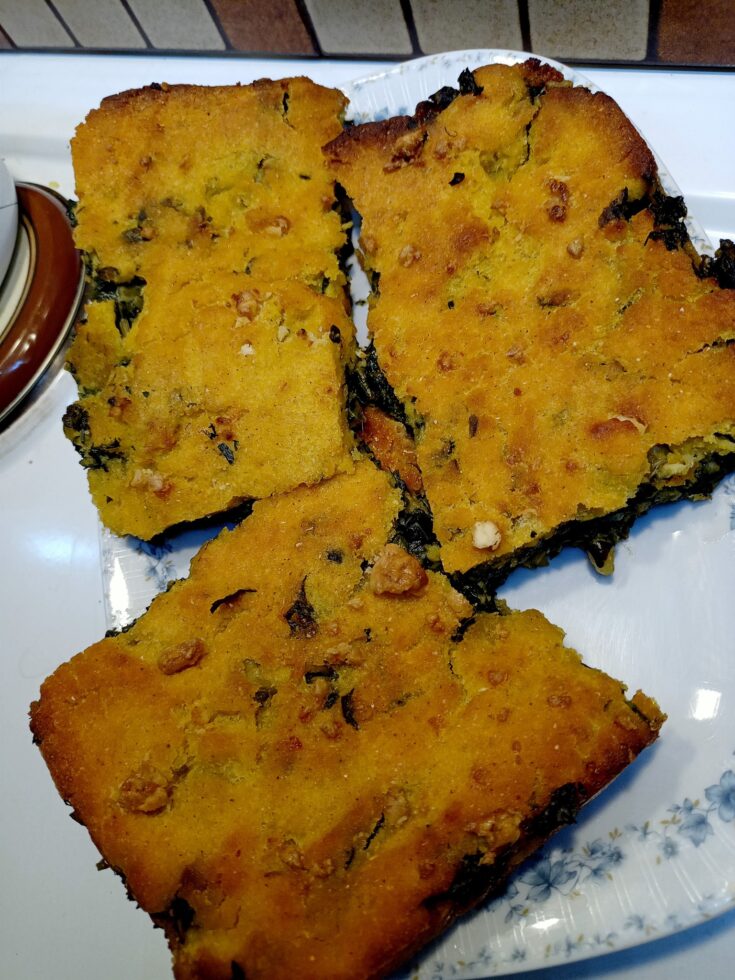 Καραγκούνικος Πλαστός