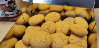 Κοντινό πλάνο σε ένα μπισκότο λεμονιού, που φαίνεται η τραγανή υφή του