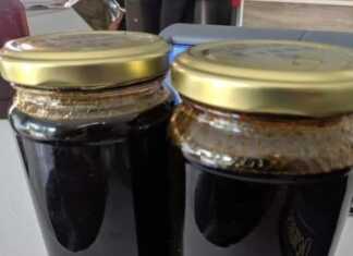 Βράσμα σύκων: Το παραδοσιακό πετιμέζι από τα σύκα της Λέσβου! Δύο βάζα με σκούρο, παχύρρευστο βράσμα σύκων (πετιμέζι), με φρέσκα σύκα στο φόντο