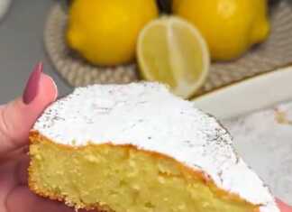 Κομμάτι από Λεμονόπιτα "12 κουταλιές" που αναδεικνύει την αφράτη της υφή και τα ψιλά κομματάκια ξύσματος λεμονιού