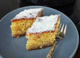 Κοντινό πλάνο σε ένα κομμάτι ραβανί, που φαίνεται η ζουμερή του υφή και το ινδοκάρυδο