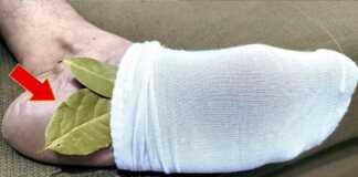 Ανακαλύψτε τα εκπληκτικά οφέλη του να βάζετε φύλλα δάφνης στις κάλτσες σας