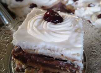 Μια κοντινή φωτογραφία από το γλυκό ψυγείου, που δείχνει τις στρώσεις του μπισκότου και της σοκολατένιας κρέμας