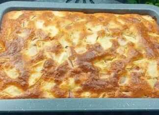 Το κέικ μηλόπιτα μέσα στο ταψί, βγαλμένο μόλις από τον φούρνο με χρυσαφένια επιφάνεια