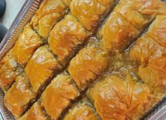 Μια ολόκληρη γλυκιά κολοκυθόπιτα νηστίσιμη, φρεσκοψημένη, σε ένα ταψί.