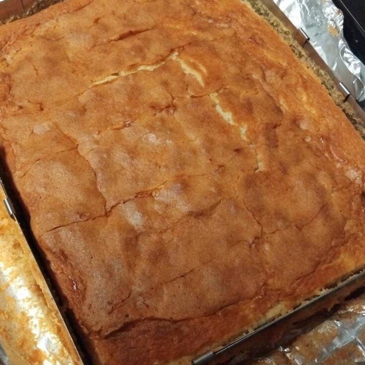 Ένα ολόκληρο κέικ με γιαούρτι, ψημένο μέχρι να ροδίσει, πάνω σε μια βάσ