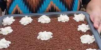 Μια πιατέλα με μια υπέροχη, σπιτική πάστα σοκολατίνα, διακοσμημένη με σαντιγί και τρούφα