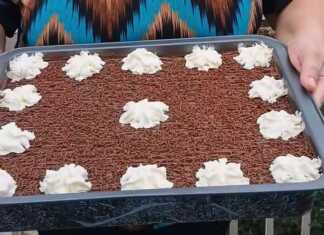 Μια πιατέλα με μια υπέροχη, σπιτική πάστα σοκολατίνα, διακοσμημένη με σαντιγί και τρούφα