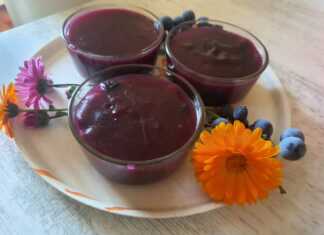 Παλουζές ή Κρέμα Σταφυλιού: Η Εύκολη και Αρωματική Συνταγή Κρέμα Σταφυλιού σε μπολάκια, έτοιμη για σερβίρισμα