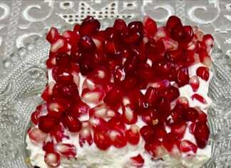 Γιαουρτογλυκό με Ρόδι: Η πιο εύκολη και δροσερή συνταγή για γλυκό ψυγείου! Κομμάτι από γιαουρτογλυκό με ρόδι, που φαίνονται οι στρώσεις.