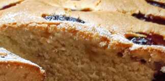 Κέικ Δαμάσκηνο: Αφράτο, Μυρωδάτο και Γεμάτο Γεύση Κέικ Δαμάσκηνο αφράτο με κομμάτια φρούτων και κανέλα