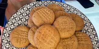 μπισκότα φυστικοβούτυρου