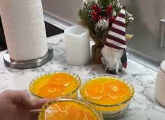 Μπολάκια δροσερού επιδόρπιου ψυγείου με βάση μπισκότου, κρεμώδη στρώση τυριού και επάνω ζελέ πορτοκάλι με κομμάτια μανταρινιού