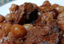 Βαθύ πιάτο με ζεστό Γίδα Στιφάδο με κομμάτια κρέατος και κρεμμυδάκια σε πηχτή κόκκινη σάλτσα