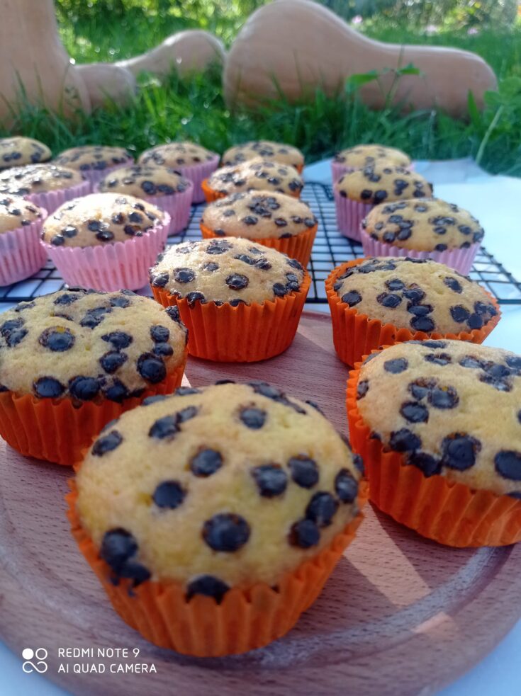 Κεκάκια Κολοκύθας (Muffins) 