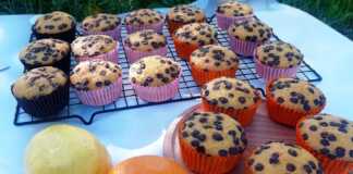 Αφράτα Κέικς Κολοκύθας (muffins) με σοκολατένιες σταγόνες.