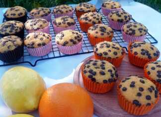 Αφράτα Κέικς Κολοκύθας (muffins) με σοκολατένιες σταγόνες.