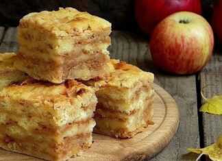 Κομμάτια από μια ζουμερή μηλόπιτα με διακρινόμενες στρώσεις από την τριμμένη μήλα και τη βάση σιμιγδαλιού