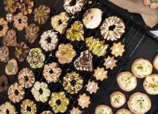 Ποικιλία από πολύχρωμα Χριστουγεννιάτικα Μπισκοτάκια διακοσμημένα με σοκολάτα και ξηρούς καρπούς σε χριστουγεννιάτικο φόντο