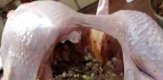 Μια πλούσια και αρωματική γέμιση γαλοπούλας με κιμά, ξηρούς καρπούς και κάστανα μέσα στην Γαλοπούλα