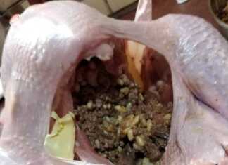 Μια πλούσια και αρωματική γέμιση γαλοπούλας με κιμά, ξηρούς καρπούς και κάστανα μέσα στην Γαλοπούλα