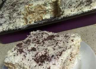 Ένα δροσερό γλυκό ταψιού καλυμμένο με πλούσιο λευκό ινδοκάρυδο και τριμμένη κουβερτούρα, κομμένο σε τετράγωνα κομμάτια