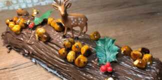 Ένας πλούσιος σοκολατένιος κορμός τυλιγμένος με πραλίνα, διακοσμημένος με ολόκληρα καραμελωμένα φουντούκια και ελαφρώς χαραγμένος για να μιμηθεί τον φλοιό δέντρου.