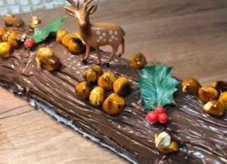 Ένας πλούσιος σοκολατένιος κορμός τυλιγμένος με πραλίνα, διακοσμημένος με ολόκληρα καραμελωμένα φουντούκια και ελαφρώς χαραγμένος για να μιμηθεί τον φλοιό δέντρου.